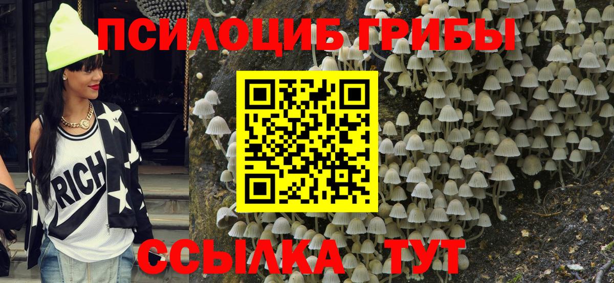Галлюциногенные грибы MAGIC MUSHROOMS Асино