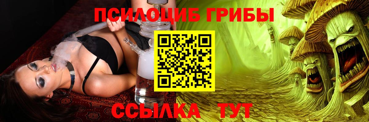 ГАШ Асино